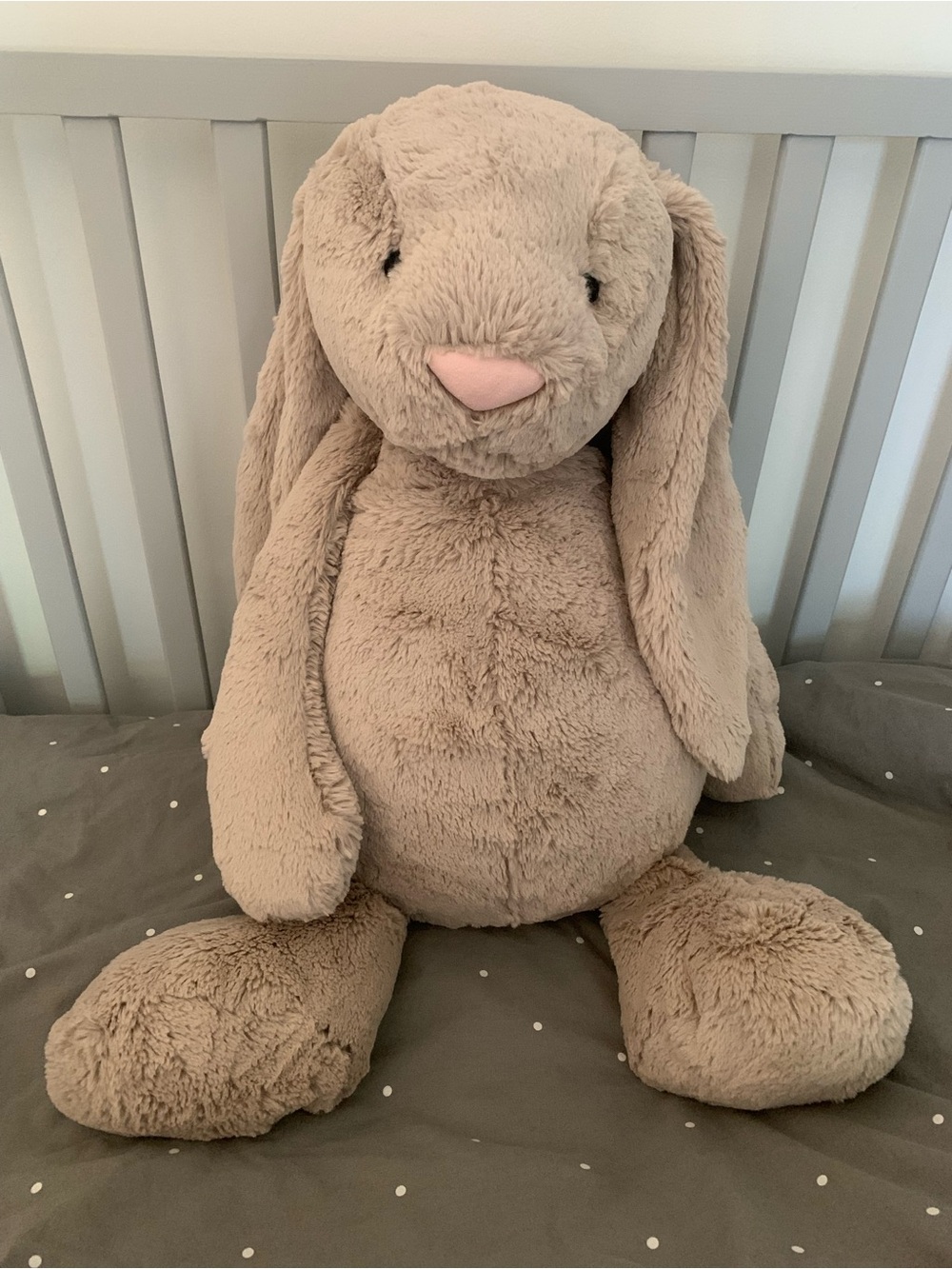 ‘Really Big’ - Jellycat Beige - Bashful Bunny